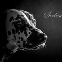 20130111_dal_3802_web