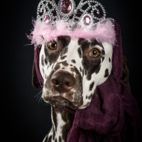 RELOAD: Leeloo, die Erste und Beste. 