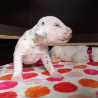 IMG_20230322_140232_1