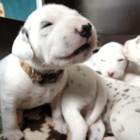 IMG_20230324_100619_1