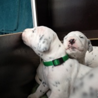 IMG_20230324_100655_1