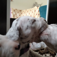 IMG_20230324_100839_1