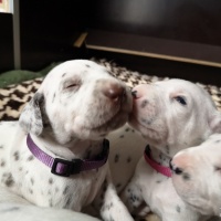 IMG_20230324_100905_1