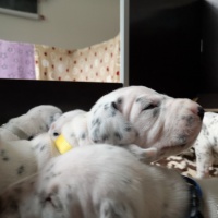 IMG_20230324_101004_1