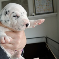 IMG_20230324_101210_1