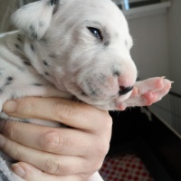 IMG_20230325_145250_1