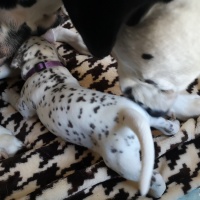 IMG_20230327_133147_1