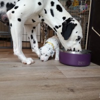 IMG_20230331_112950