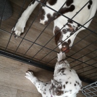 IMG_20230401_151756_1