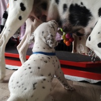 IMG_20230401_151820_1