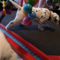 IMG_20230401_191447_1