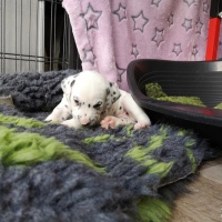 IMG_20230402_164341_1