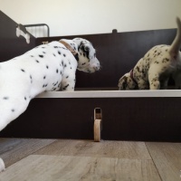 IMG_20230402_165751_1