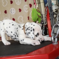 IMG_20230403_134358_1