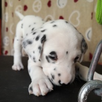 IMG_20230403_134409_1