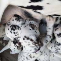 IMG_20230405_110908_1