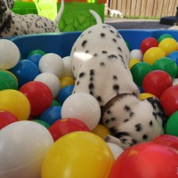 IMG_20230414_180012