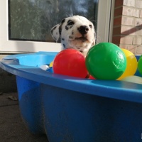 IMG_20230414_180130