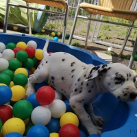 20230419_143824_1_web