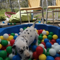 20230419_143825_1_web