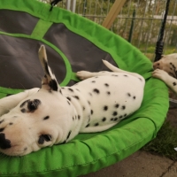 20230423_152018_1_web