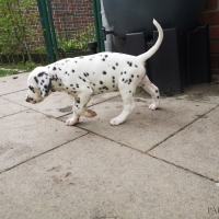 20230423_152126_1_web