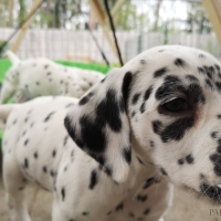 20230423_152245_1_web