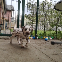 20230423_153010_1_web