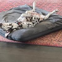 016e1a66-b765-48bd-8508-4e9520fd82d0