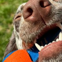 0383166b-3693-4e6d-9134-3670ac7400f5