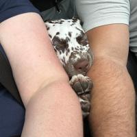 05fe58f3-049b-44c3-8499-98529d0ab8a7