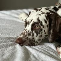 08f29247-f52c-4382-b058-5a4954a7a62b