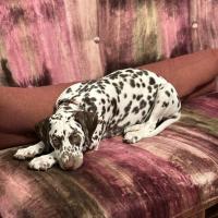 118803e3-2c5f-4a12-86b4-5d7ccf04f8b9