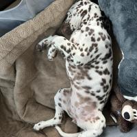 1516d1a6-7d95-476f-8a06-0650aee7ebdb