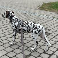 218dbd2d-b71d-4b46-ac76-43e44c007eb9