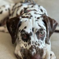 23c01c97-b41a-48c0-818a-48f7c4d01c46