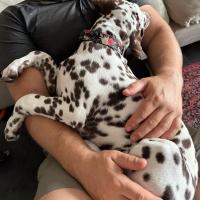 2ef777a3-406d-4991-a116-2faa21ec63a8