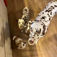 31a3d946-2909-425e-8385-924c3a5e58b2