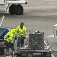 36b8cf01-c24c-4995-8a0e-460b4efae68c