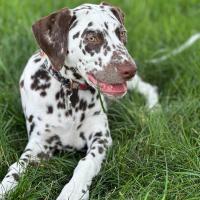 3e93e06c-50e7-4eae-a49d-06a52ea914a6