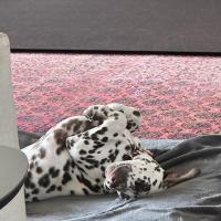 3f711490-d282-4539-825a-b51e8bc68f79