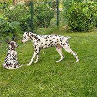 43c38f5a-6207-47eb-9421-917256b14ca1