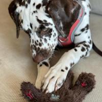 4bd33723-f5ea-4c53-8195-85171ed0515e