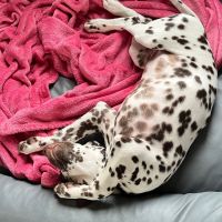 58a85b9a-2834-49b0-92eb-dd663f3c8b2a