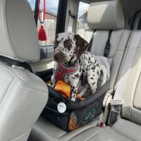 5d010f31-6a84-4cdd-aef4-5f79ed95a822