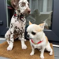 610e1289-6365-4ca2-8d99-2bde95c014ff