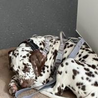 61bce1c6-3e1c-415e-8317-f0f18011ae1b