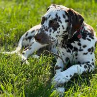 635cc1c5-99ae-4992-a02f-613a6ce00255