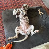 69ed697a-29eb-4afc-8533-d1489c9f267f