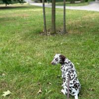 6a97513c-b20c-4c23-9da4-78b37c3dd0c9